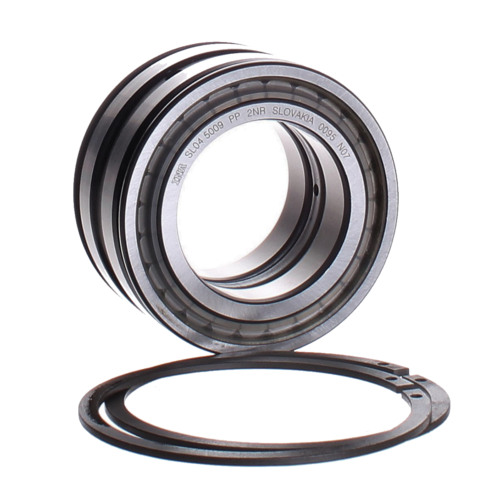 SL045020-D-PP-2NR INA