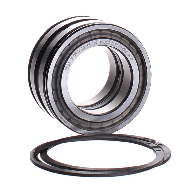 SL045020-D-PP-2NR INA